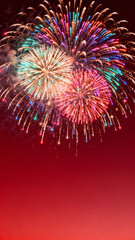 璀璨绽放的烟火表演夜空