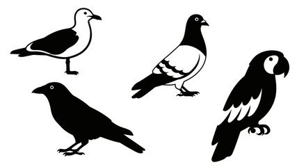 Diverse Bird Silhouettes Collection: Seagull, Pigeon, Crow, and Parrot Avian Icons
