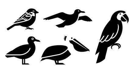 Obraz premium Diverse Bird Silhouettes Collection: Sparrow, Duck, Pelican, Parrot, and Flying Bird Icons
