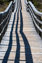Fototapeta premium A deck over Florida beach dunes