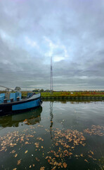 Fototapeta premium Rijkevorsel, Antwerpse Kempen, Belgium, Blue boat moored in autumn harbor with floating leaves and glassy reflections, overcast sky casting soft light, dock and distant