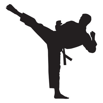 Silhouette of a martial artist kicking in mid air with a dynamic pose and black belt against a clean white background