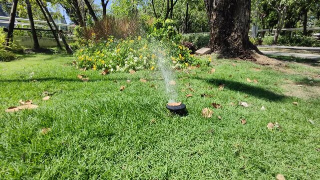 Sprinkler/Automatic watering of plants/sprinkler spraying water