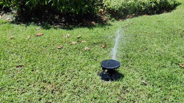 Sprinkler/Automatic watering of plants/sprinkler spraying water