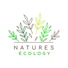 Herbal plant minimalist logo design vector