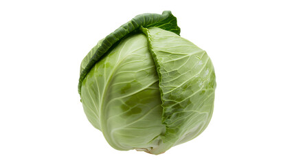Head of green cabbage on a white background vegetable isolated on a transparent background
