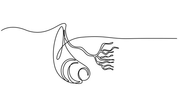 Cross-section of artery with blood cells flowing inside medical illustration healthcare biology anatomy continuous one line drawing animation