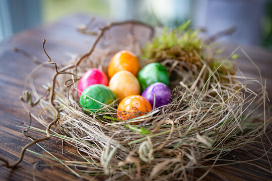 Colorful easter eggs in natural birds nest made of straw and green moss. Rustic easter arrangement on dark wood and bright background.