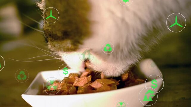 Nose touching bowl causing icons fade, cat sniffing and eating wet food while eco icons swirling