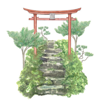 Watercolor illustration of a traditional Japanese torii gate above stone steps surrounded by lush greenery and bonsai trees. Serene Asian landscape composition isolated on dark background.