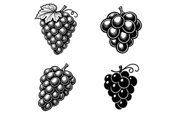 Naklejka premium Vintage grape illustrations: four detailed black and white variations
