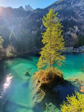 Der Blausee ist trotz seiner geringen Gr&ouml;sse von 0,64 ha einer der bekanntesten Bergseen der Schweiz. Er ist ein beliebtes Ausflugsziel im Berner Oberland.