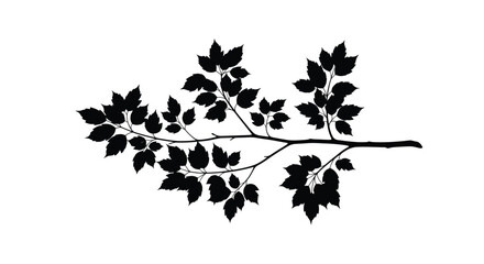 A delicate branch with lush leaves depicted in stark silhouette © IMkM00i76