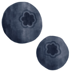 blueberries watercolor