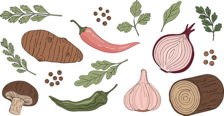 Hand drawn vegetables and herbs vector illustration set with chili, onion, garlic, potato, mushroom, spices, and leafy greens for cooking, recipe, and organic food designs