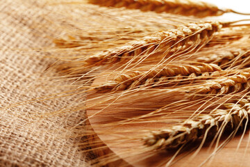 Naklejka premium Wheat strands on burlap cloth showing details of harvest in a farm setting