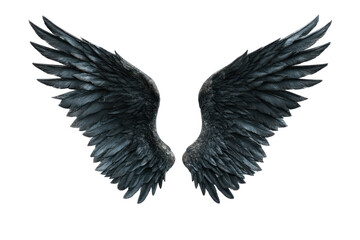 Obraz premium Dark feathered angel wings isolated on transparent background. Dark detailed feathered wings spread open isolated on white background.