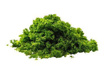 Obraz premium Pile of fresh green herbs isolated on transparent background. Pile of fresh curly parsley isolated on white background.