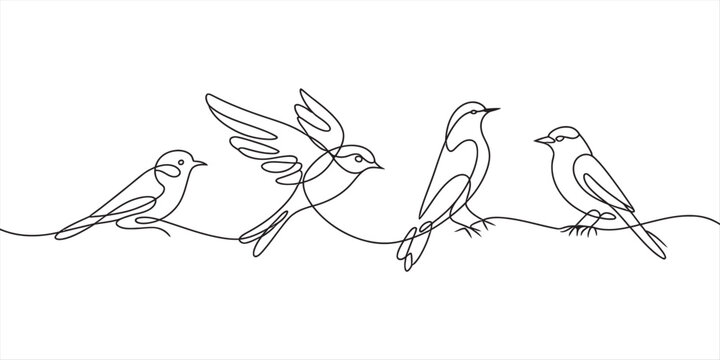 Minimalist continuous line drawing of four birds perched on a single wire on white background. Vector, illustration