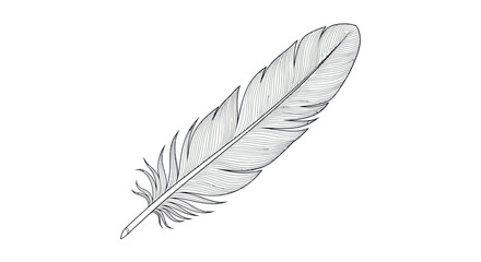 Detailed Black and White Drawing of a Bird Feather on White Background