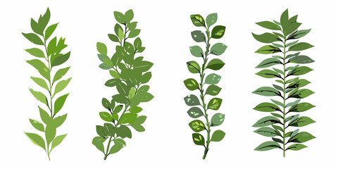 Four green leafy branches arranged vertically against a white background