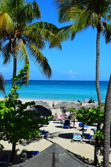 Obraz premium Varadero, Cuba; 04.07.2023. Beautiful, colourful sunset on the beach in Varadero, Cuba! Cote d'Azur of the Atlantic Ocean, next to the Caribbean Sea. Cuba wild palm beach background. Nature blue sea l