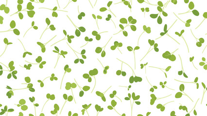 Obraz premium Seamless pattern of fresh green microgreens sprouts on a white background for healthy food concepts and nature designs.