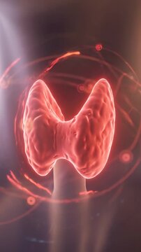 Thyroid gland hormone endocrine medical health disease anatomy disorder diagnosis concept, glowing red organ neck, futuristic endocrine system healthcare digital rendering 3d anatomy thyroid disorder