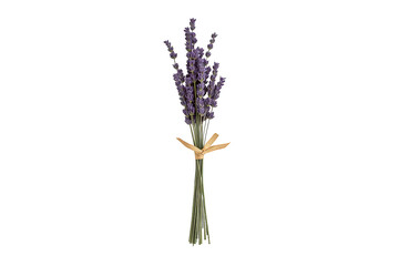 Fototapeta premium Dried lavender flower bunch tied with natural raffia ribbon, aromatic purple herb bouquet for aromatherapy and decoration