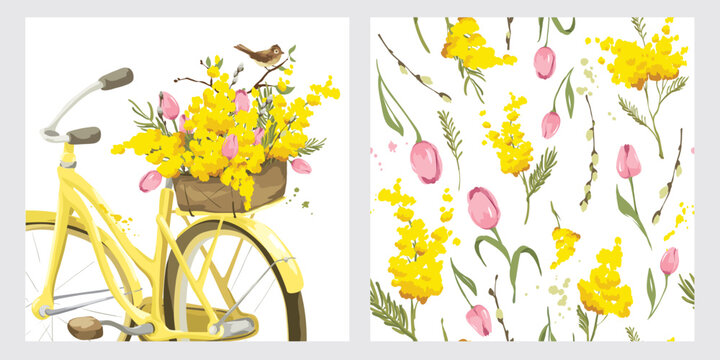 Mimosa Illustration」の写真素材 | 22,847件の無料イラスト画像