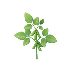 Obraz premium A green plant with leaves and pods on a png transparent.