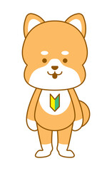 柴犬　デフォルメイラスト　初心者マーク