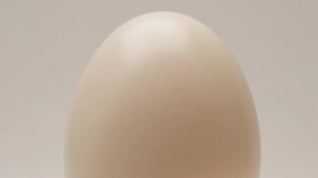 Abstract cream colored egg shape isolated against neutral background