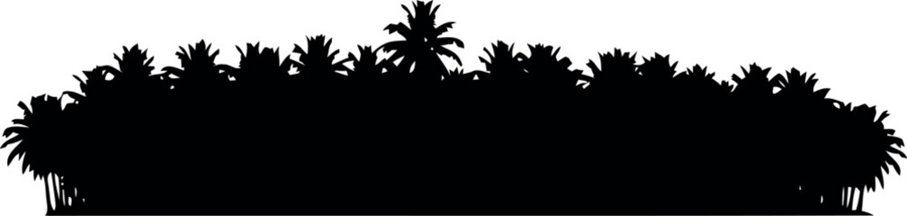 Tropical Palm Tree Silhouette Border Isolated on White for Summer Design and Nature Themes © Safwan Creatives