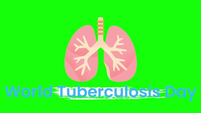 World Tuberculosis Day text animation concept with healthy lungs vector icon symbol popup. Animated word design, editable lettering motion graphic video template with green screen background