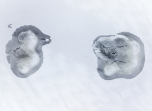Aerial view of the stark white landscape punctuated by the dark, amorphous shapes of islands, Nordland, Norway.