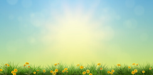 Naklejka premium Yellow dandelions growing among green grass under blue sky. Spring season