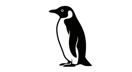 Fototapeta premium pingkuin