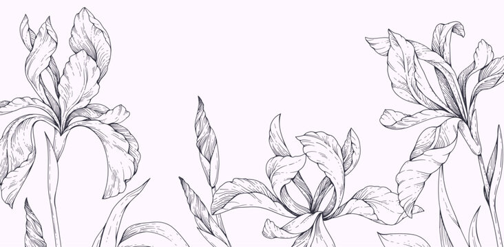 Wild irises blooming, background with flowers and brunch. Detailed botanic floral collection for Valentines day invitation, wallpaper art