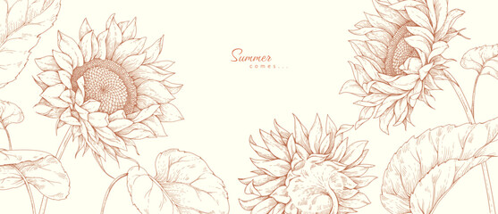 Naklejka na ściany i meble Sunflowers background with flowers and leaves. Detailed hand drawn ink floral illustration for summer invitation, wallpaper art
