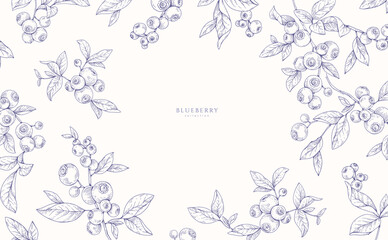 Naklejka premium Background with blueberry berry and brunch. Detailed hand drawn ink floral illustration for invitation, wallpaper art or save the date