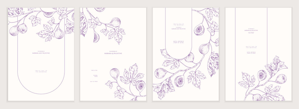 Set of card with fig tree brunch and leaves. Detailed hand drawn ink illustration for template layout design, brochure or cover for food card