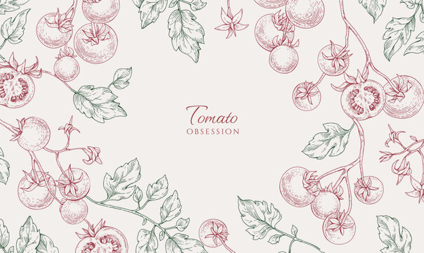 Background with tomatoes brunch and leaves. Detailed hand drawn ink illustration for template layout design, brochure or cover for food card