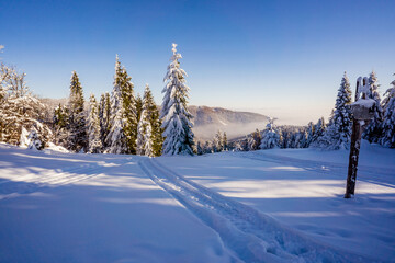 Łapsowa Polana winter ski trail, Gorce Mountains, Poland  © Snowboy