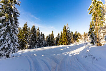 Łapsowa Polana winter ski trail, Gorce Mountains, Poland  © Snowboy