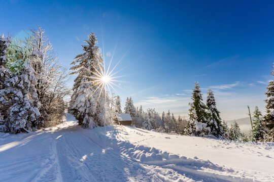 Łapsowa Polana winter ski trail, Gorce Mountains, Poland
