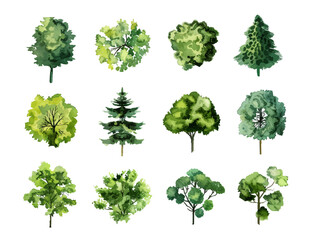 Fototapeta premium Collection of Watercolor Trees and Conifers Viewed From Above Isolated on White Background Stock Illustration