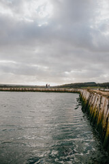 Fototapeta premium A body of water with a pier in the background. The water is calm and the sky is cloudy