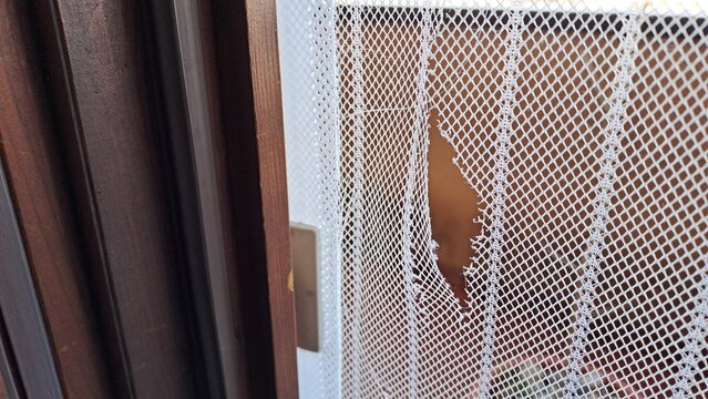 A close-up of a tear in a fly screen. View of the window frame with the screen nearby.