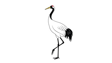 Obraz premium Elegant red-crowned crane standing on one leg showing its striking white, black, and red plumage in a vector art.